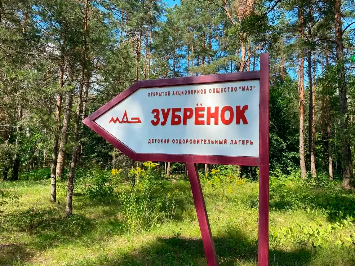 Воспитательно-оздоровительный лагерь